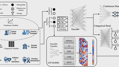 Explanation-Guided Reconstruction of Missing Clinical Features for Survival Prediction in Pancreatic Cancer featured image
